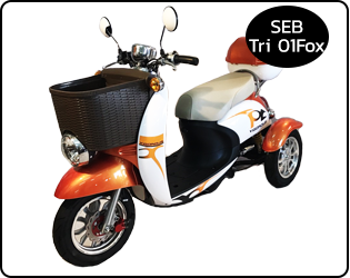 จักรยาน 3 ล้อไฟฟ้า SEB-TRI01Fox